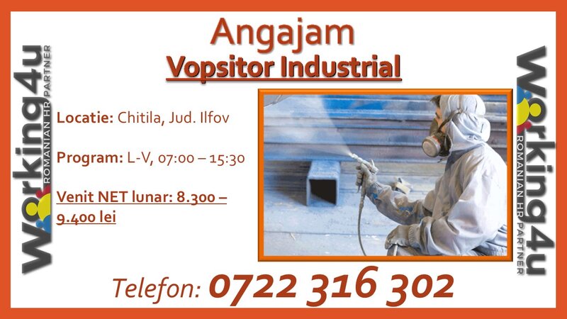 Vopsitor Industrial