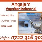 Vopsitor Industrial